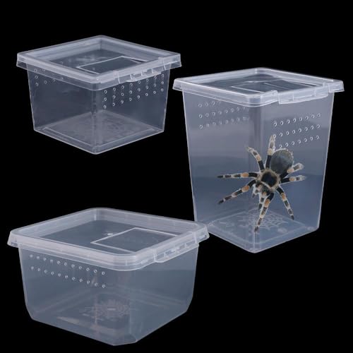Small Reptile Breeding Box for Reptiles Small Snake Turtle Spiders Geckos Frogs Breeding Box Case Feeding Hatching Container Transparent(B) - style: B