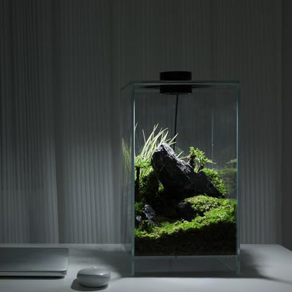 Desktop Glass Plant Terrarium with Grow Light(L7.8 W7.8 H14), for Succulent, Moss, Miniature Gardening Landscape, Betta Fish Tank, Indoor Plant Growth, Office Home Decoration (TimeControlled)