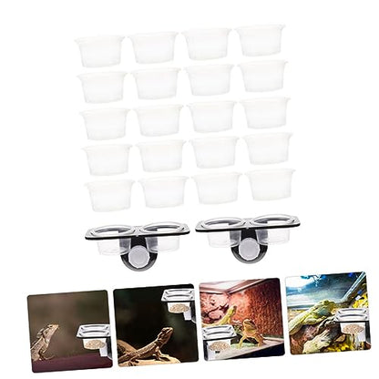 BESPORTBLE 1set Gecko Feeder and Water Dish Suction Cups Versatile Reptile Tank Accessories Easy to Clean Feeding Dishes for Lizards and Other Reptiles Random Set