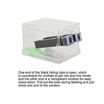 bizofft Cricket Keeper, Cricket Keeper with Tubes Safe and Non- for Office for Home(L)