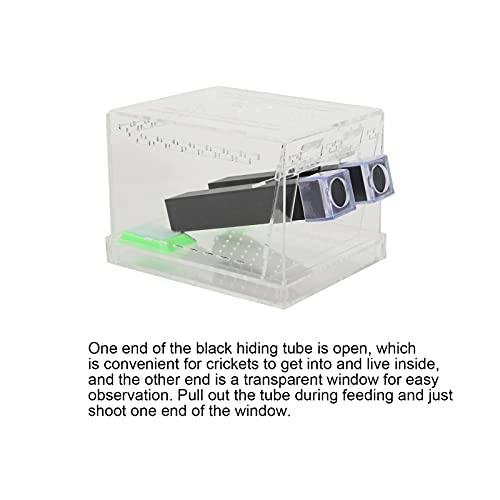 Cricket Keeper with Tubes, High Transparency Acrylic Material Cricket Keeper for Office for Home(L)