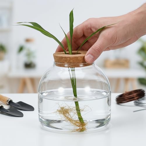 ULTECHNOVO 5.9" Glass Terrarium Jar with Wood Stopper – Airtight Mini Ecosystem Jars with Cork Lids for Hydroponic Plants & Moss, Micro Landscape Decor for Bedroom, Office, Gift for DIY Gardeners