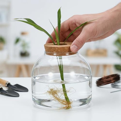 ULTECHNOVO 5.9" Glass Terrarium Jar with Wood Stopper – Airtight Mini Ecosystem Jars with Cork Lids for Hydroponic Plants & Moss, Micro Landscape Decor for Bedroom, Office, Gift for DIY Gardeners