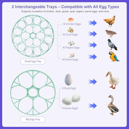 18 Egg Incubator for Hatching Chicks, Automatic Egg Turner Holds 18 Eggs, Smart Incubator 360° Clear Window with Temperature and Humidity Display Egg Candler for Small Poultry Ducks Quails Eggs