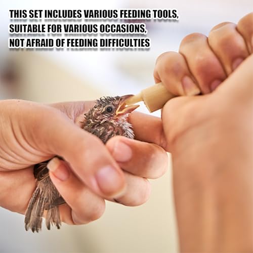 14 pcs Baby Bird Feeding Syringe Set, Small Bird Feeding Hand Feeding Tubes Kit, Parrot Feeder Food Feeding & Watering Supplies for Baby Birds Small Pet - color: mix