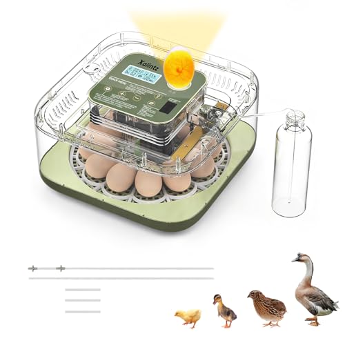 Automatic 12 Egg Incubator - Digital Temperature/Humidity Display, Hatch Day Countdown, Auto Egg Turner & Candler with 360° View for Hatching Chicken, Duck, Quail Eggs