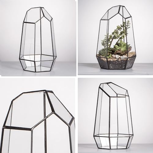 NCYP No Door Geometric Glass Terrarium Planter for Small Succulent, Small Cacti, Black Irregular Opened Terrarium Pot, Indoor Home Garden Office Tabletop Decor, 6.5" x 5.7" x 9.8" (No Plants) - size: 6.5"x5.7"x9.8"