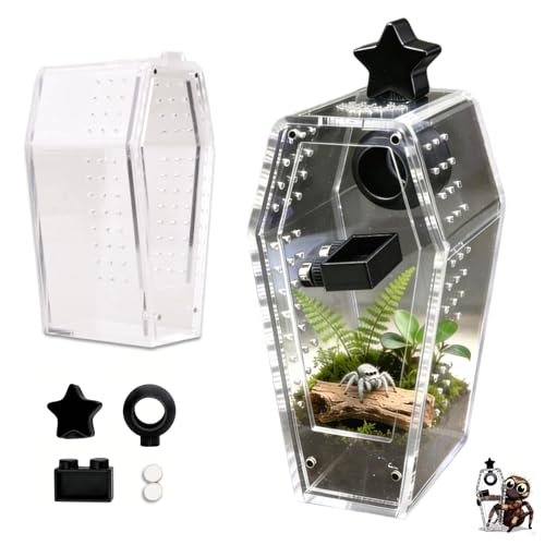 Jumping Spider Enclosure Jumping Spider Enclosure Kit Desktop Habitat Small Reptile Glass Terrarium Insect Accessory Set with Water Container Hiding Area(Black) - color: Black