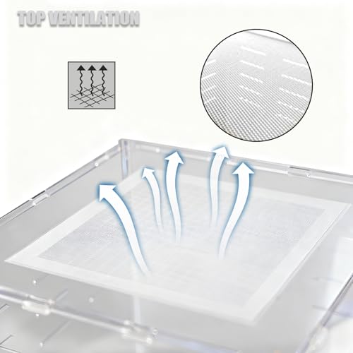 8x8x12 Reptile Tank – Acrylic Reptile Enclosure Terrarium for Crested Gecko, Lizards, Spiders & Snakes – Clear Lizard Habitat Terrarium - size: 8"8"12"
