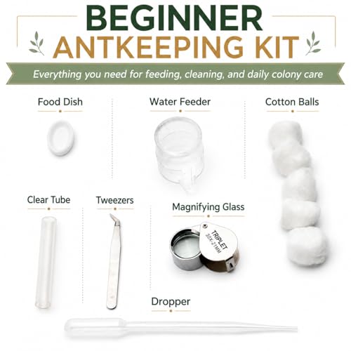Terra Core Series S Ant Nest Starter Kit for Beginner Ant Keeping 5.9 x 4.52 x 3.54 in - size: Terra Core Series-S