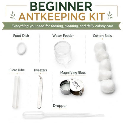 Terra Core Series S Ant Nest Starter Kit for Beginner Ant Keeping 5.9 x 4.52 x 3.54 in - size: Terra Core Series-S