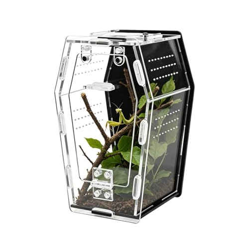 Clear Breathable Box, Acrylic Small Snail Terrarium, 4x4x6 Inches Crested Gecko Tank with Air Slots, Plexiglass Creature Cage, Pet Viewing Habitat with Transparent Styling, Amphibian Display Cas