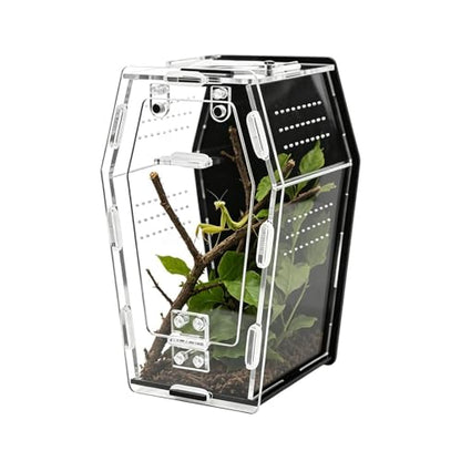 Clear Breathable Box, Acrylic Small Snail Terrarium, 4x4x6 Inches Crested Gecko Tank with Air Slots, Plexiglass Creature Cage, Pet Viewing Habitat with Transparent Styling, Amphibian Display Cas