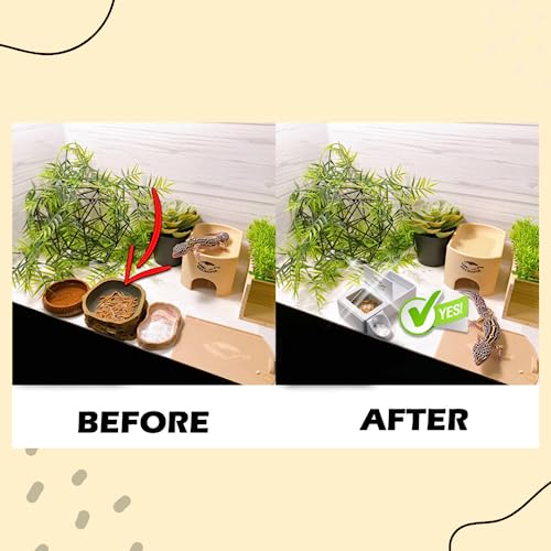 Geckopia Triple Dish 3.0 | 3 in 1 Reptile Bowl | Gecko & Reptile Calcium & Water Food Bowl | Mealworm Dish in BioPlastic | Wood - color: Wood