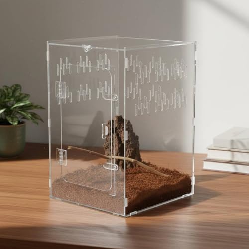 Acrylic Habitat Clear Observation Reptile Cage Secure Closure Multiple Ventilation Holes Suitable for Pet Feeding Home Display, Double Door Small - style: Double Door Small