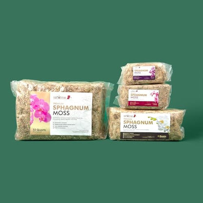 rePotme Premium Organic Sphagnum Moss, Orchid Moss - 8 Quarts (When Hydrated) - style: 8 Quarts
