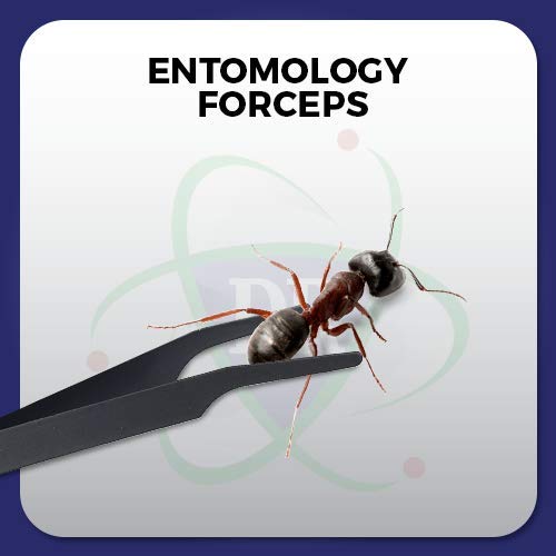 Entomology Forceps Set, One Long Points and One Short Broad Points Forcpes. Ideal for a delegate entomology work. Superlight flexible stainless-steel, construction. Set of 2.