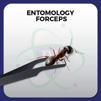 Entomology Forceps Set, One Long Points and One Short Broad Points Forcpes. Ideal for a delegate entomology work. Superlight flexible stainless-steel, construction. Set of 2.