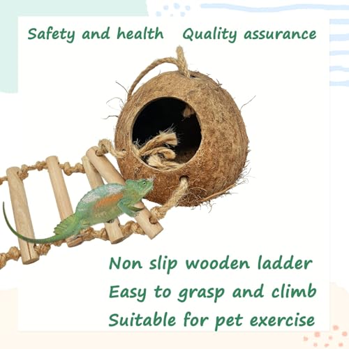Gecko Coconut Shell Hut Reptile Hideout Home Nesting House Natural Habitat Decor with Hanging Wooden Ladder for Lizard Gecko Hermit Crab