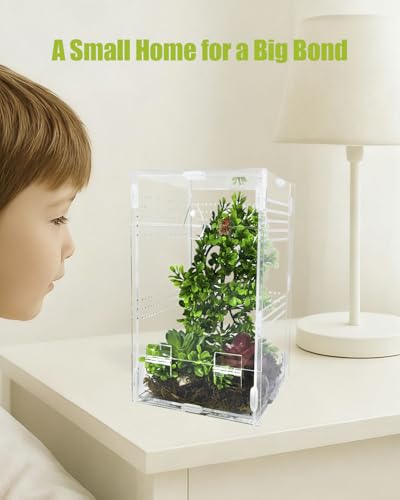 Jumping Spider Enclosure 6”x6”x10”, Transparent Arboreal Tarantula Habitat, Praying Mantis Terrarium Critter Cage for Jumping Spider, Tarantula, Mantis, Snail, Isopods, Beetles, Millipedes - size: Large