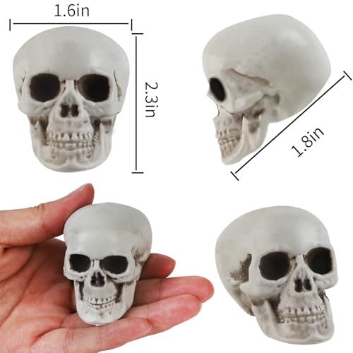 20 Pcs Halloween Skulls Realistic Looking Skulls Skeleton Head for Halloween Bar Home Table Decoration Model Human Skeleton Statue (1.6 x 1.8 x 2.3 Inches)