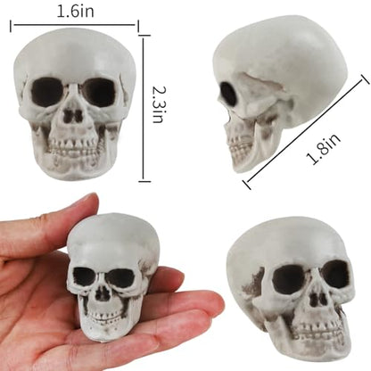 20 Pcs Halloween Skulls Realistic Looking Skulls Skeleton Head for Halloween Bar Home Table Decoration Model Human Skeleton Statue (1.6 x 1.8 x 2.3 Inches)