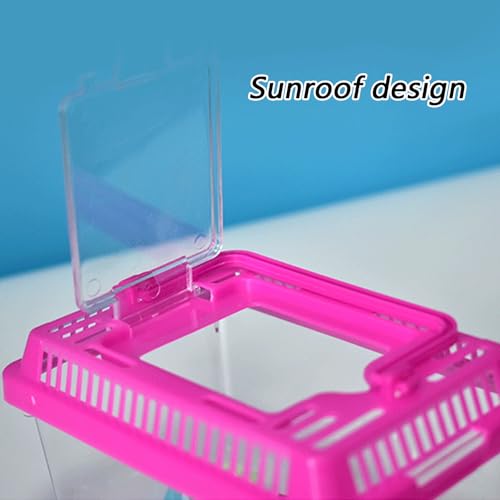Plastic Terrarium, Critter Keeper, Plastic Fish Tank, Fish Transport Container, Critter Cage, Hermit Crab Cage with Removable Lid and Feeding Port Enclosure Ventilated Design - size: 22x14x15cm