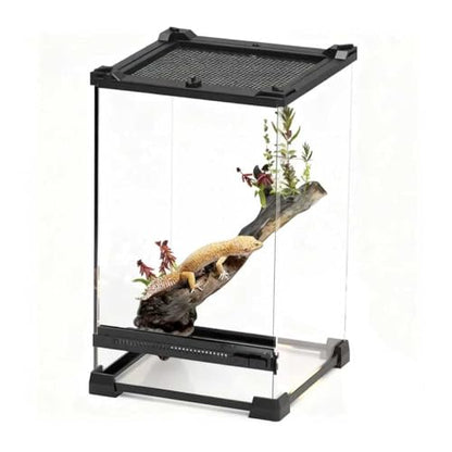 Reptile Tall Glass Terrarium Rainforest Habitat Single Door with Screen Ventilation,Small Reptile Terrarium for Spiders, Tarantulas, Snail, Mantis, Lizard (8 * 8 * 12 inch) - size: 8*8*12 inch