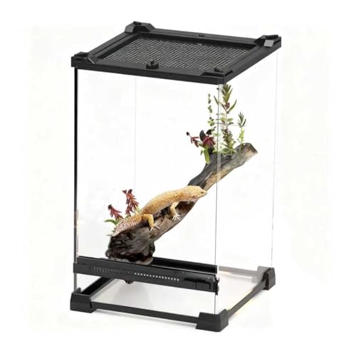Reptile Tall Glass Terrarium Rainforest Habitat Single Door with Screen Ventilation,Small Reptile Terrarium for Spiders, Tarantulas, Snail, Mantis, Lizard (10 * 10 * 13.8 inch) - size: 10*10*13.8 inch