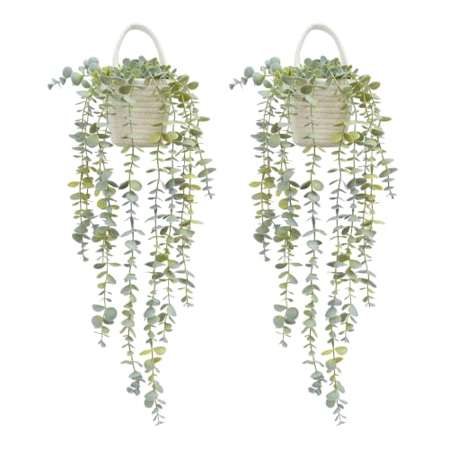 Fake Hanging Plant, Eucalyptus in Wall Woven Planters | Artificial Faux Plants, Soft Green, Cotton Hanger, 2PCS, Indoor Decor - size: Cotton Hanger-2PCS
