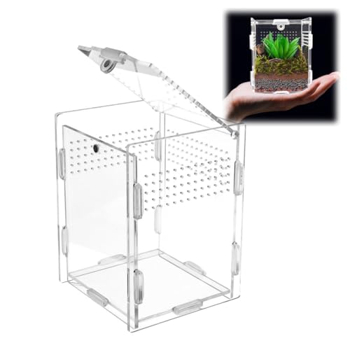 Acrylic Jumping Spider Enclosure with Magnetic Top & Escape-Proof Vents - Small Critter Keeper 4.5x3.3x3.3 Inch for Hermit Crab Frog Tarantula Mantis - Reptile Tank Habitat High Clarity Terrarium