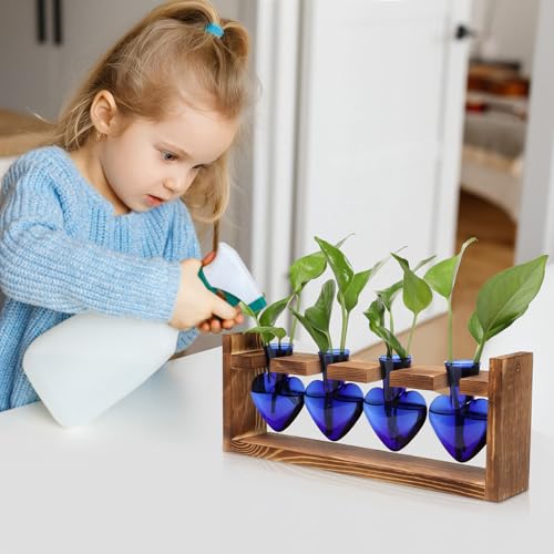 Heart Plant Terrarium Kit Gift for Women Plant Lover Glass Vases - color: Blue