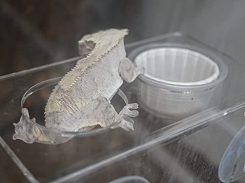 Josh's Frogs Acrylic Gecko Feeding Ledge (Holds 2-1 oz Cups) - size: For 1oz Cups