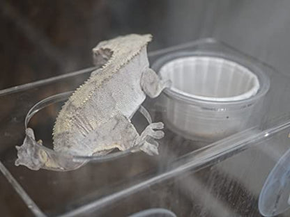 Josh's Frogs Acrylic Gecko Feeding Ledge (Holds 2-1 oz Cups) - size: For 1oz Cups