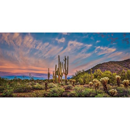 AWERT 72x16 inches Terrarium Background Blue Sky Cloud Huge Cactus Oasis Gobi Reptile Habitat Background Vinyl - size: 72x16in/180x40cm