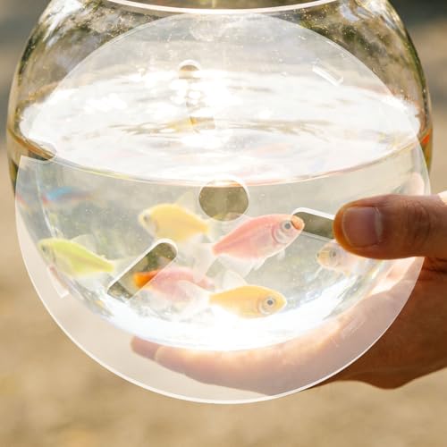 Clear Fish Tank Lid - 6 Inch Acrylic Anti Jumping Aquarium Cover with Hole - Transparent Top Hood Grid Panel Pet Supplies for Turtles Reptiles Shrimp