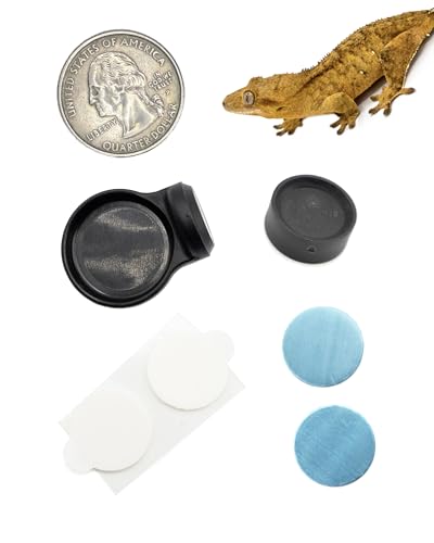 Pangea Microdish Kit for Micro Gecko Feeding, Mini Water Bowl for Tiny Reptiles and Other Small Pets, Magnetic Attachment Dots Included 1.5in x .75in (S Surface Mount) - size: S Surface Mount
