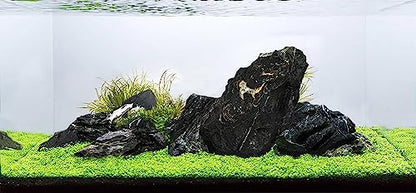 LANDEN Dark SEIRYU Stones Natural Rocks(17lbs, 3~11 inches,7-8pcs) for Aquarium, Paludarium, Terrariums, Landscaping Rocks, Decorative Aquarium Rocks - size: 08 Dark Seiryu Stones(3-11inch,17lbs)