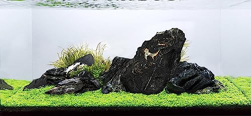 LANDEN Dark SEIRYU Stones Natural Rocks (3~11 inches,11pcs) x2 40Lx 2 Cases Total 80L 37lbs for Aquarium, Paludarium, Terrariums, Landscaping Rocks, Decorative Aquarium Rocks - size: 09 Dark Seiryu Stones(3-11inch,36lbs)
