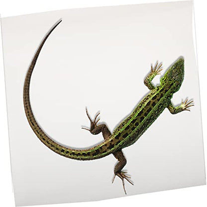 BESPORTBLE Reptile Carpet Mat for Bearded Dragon Leopard Gecko Lizard and Snake and Shape Terrarium Substrate Liner Easy to Cut Washable for Reptile Habitats