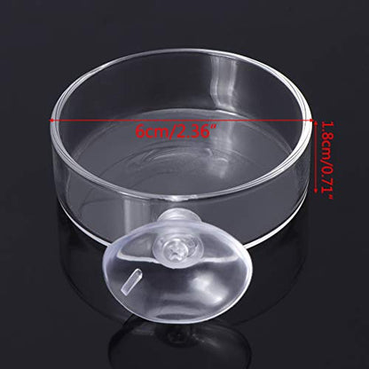 Shrimp Feeder Glass Feeding Dish Aquarium Fish for Reptiles Food Bowl with Suction Cups 2.4x0.7 Inch