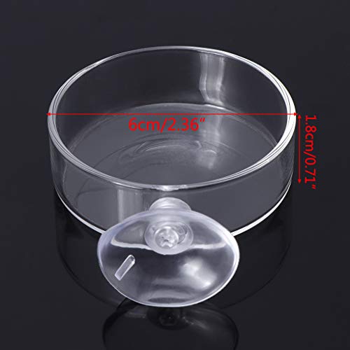 Shrimp Feeder Glass Feeding Dish Aquarium Fish For Tank Reptiles Round Clear Food Bowl With Suction Cups 2.4x0.7 Inch Shrimp Feeding Dish Shrimp Feeding Dish And Tube Shrimp Feeding Dish With Suction