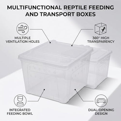Reptile Feeding Box, Transparent Portable Plastic 2PCS Breeding Transport Box for Lizard Bearded Dragon Spider (L)