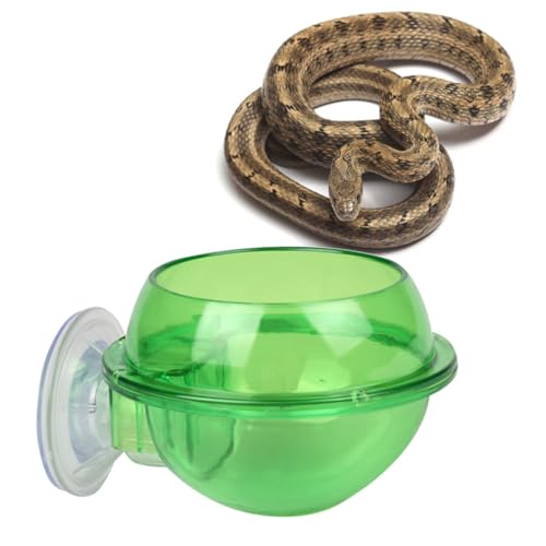 Toddmomy Reptile Feeder Bowl Suction Cup Lizard Water Dish for Chameleon Turtle Small Pet Drinking Bowl