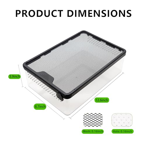 Small Reptile Terrarium, Escape Proof Enclosure 12.6×8.7×3.9 in | Clear Viewing Habitat for Hermit Crabs Isopods and Beetles, Tarantula Gecko Praying Mantis Feeding Box, Breeding Habitat