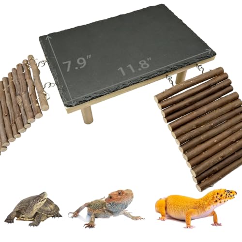 Wooden Bearded Dragon Platform Reptile Basking Platform Climbing with Slate Stone Tank Accessories for Leopard Gecko Lizard Tortoise Snake (Large Applewood) - size: Large(B)