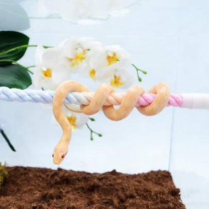 Snake Enrichment, Ball Python Tank Accessories, Gradient Climbing Decoration Rope with Suction Cups, Snake Climbing Accessories, Ball Python Enrichment - size: 60cm