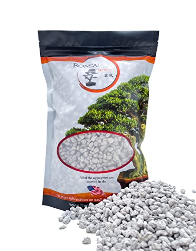 Pumice for Bonsai, Succulent, Cactus, Alocasia, Monstera, and Tropical Aroids | 2 Quarts Bag | 1/4” Particle Size | The Bonsai Supply - size: Pumice 2 Quarts