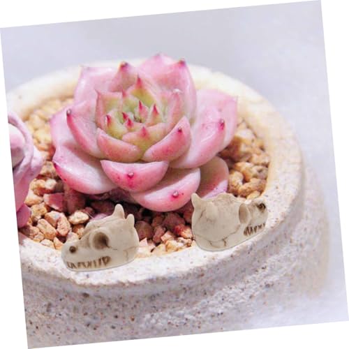 jojofuny 20pcs Resin Mini Dragon Skull Yard Ornaments for Outdoor Garden Lawn Decoration, Small Skull Figurines for Fish Tank and Terrarium, Dragon Head Resin Sculptures