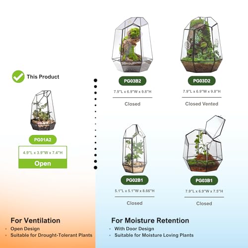 NCYP Small No Door Glass Geometric Terrarium - 4.9 x 3.9 x 7.4 Inches Irregular Clear Terrarium Pot for Mini Succulents, Small Cactus, Indoor Garden Tabletop Decoration (No Plants) - size: 4.9"x3.9"x7.4"
